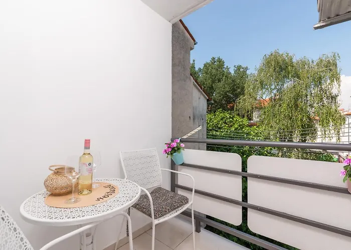 Grivicic C * 波雷奇